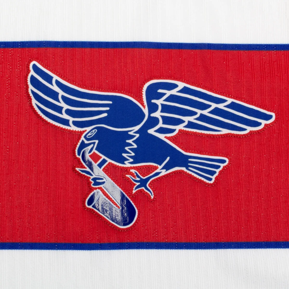 Sleeveless Olympic Dri-FIT Eagle Jersey
